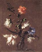 Mario Dei Fiori Theee Caper Flower,a Carnation,a Bindweed,and a Tulip oil painting reproduction